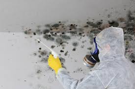 Best Commercial Mold Inspection  in Roanoke, IN